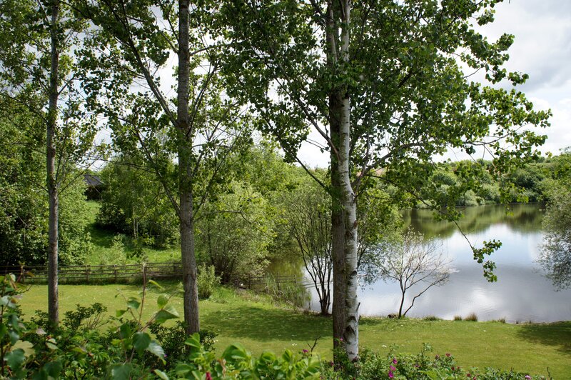 Lakeside trees and greenery