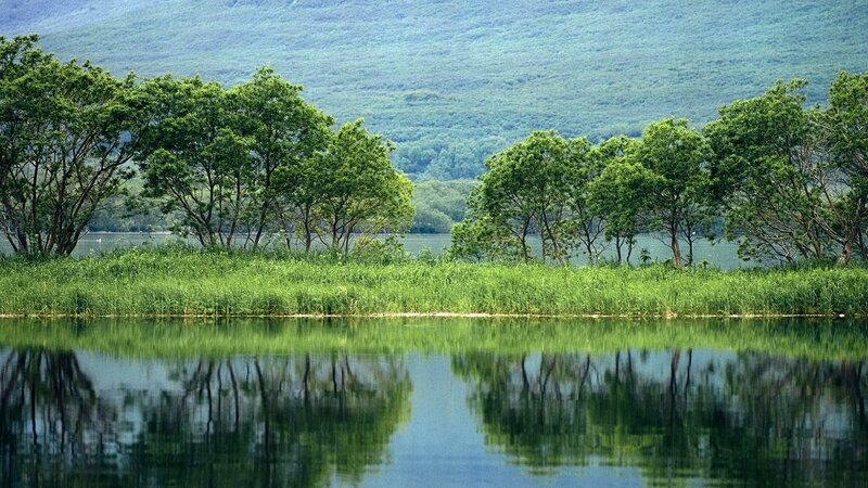 Lakeside trees and mountains