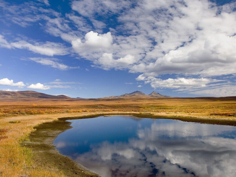 Lakeside tundra landscape