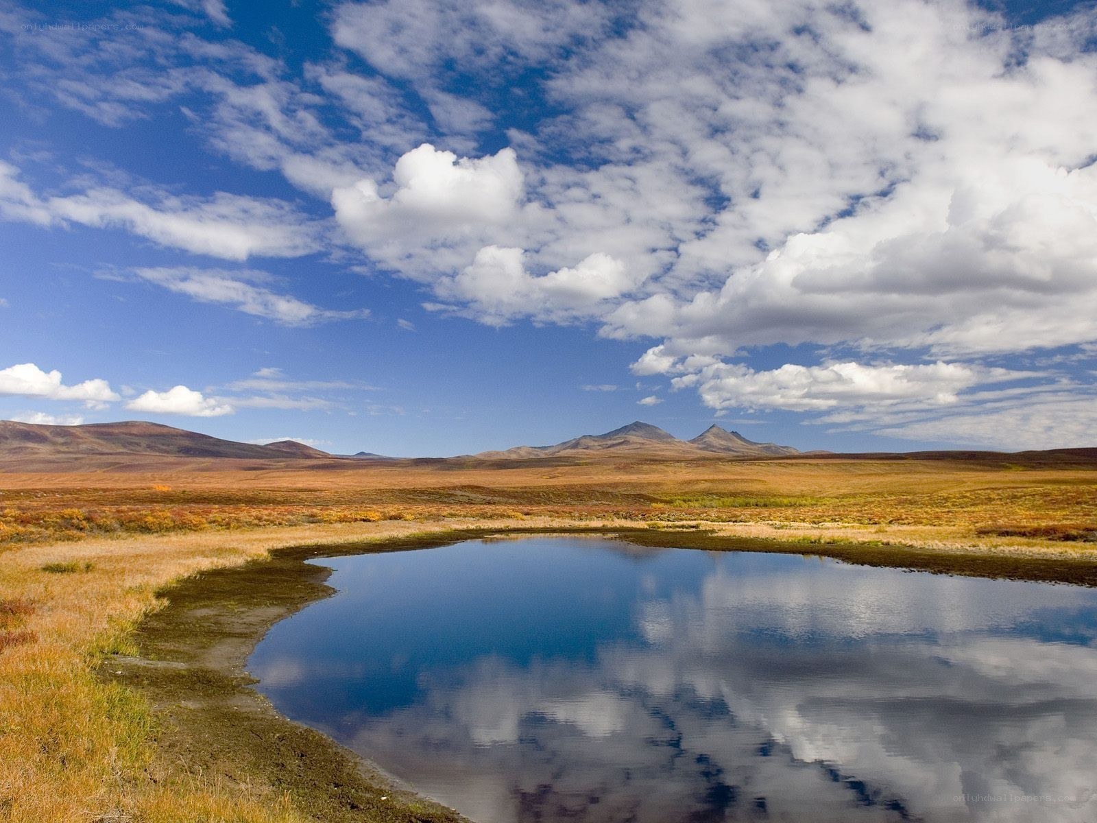Lakeside tundra landscape