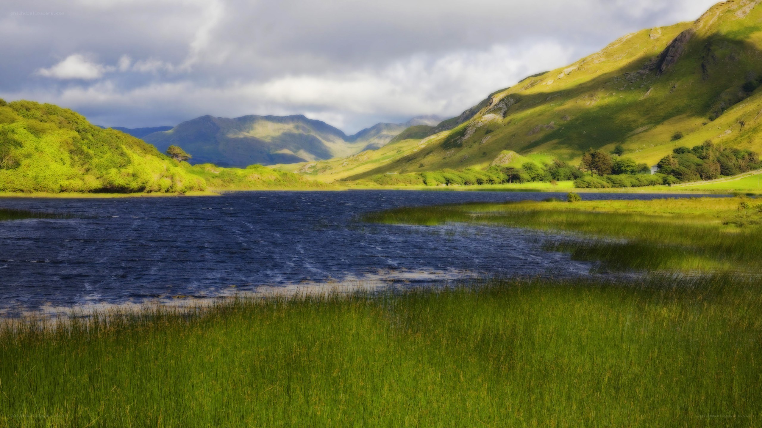 Lakeside valley with green hills