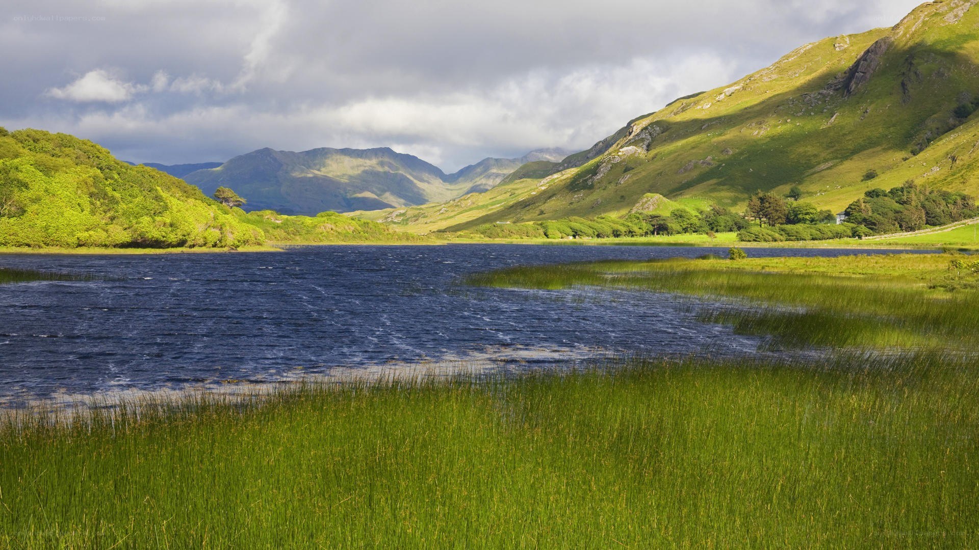 Lakeside valley with green hills