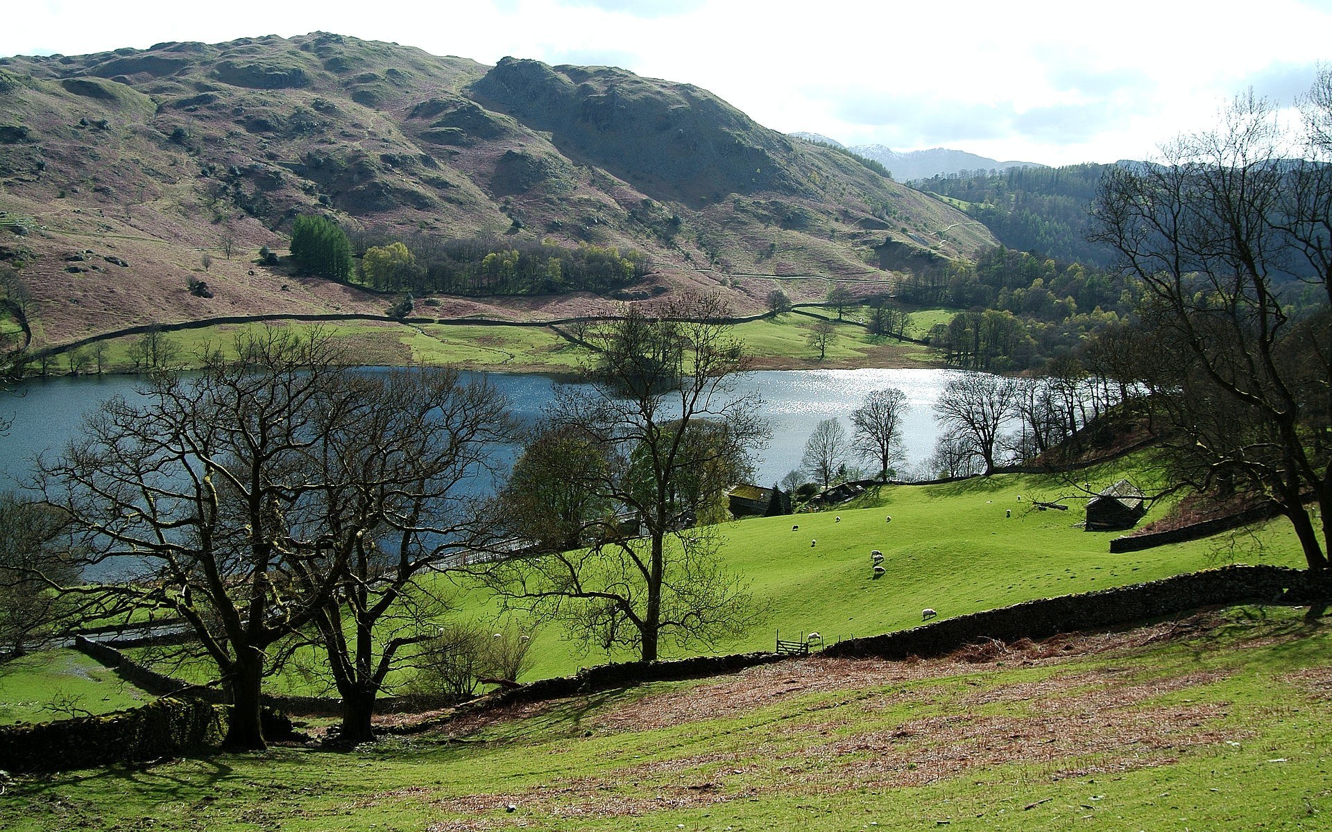 Lakeside valley with hills