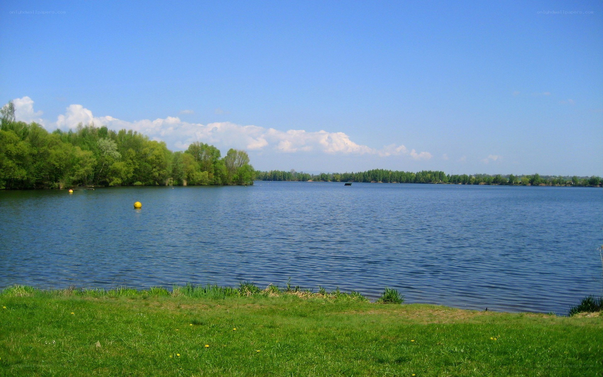 Lakeside view on a sunny day