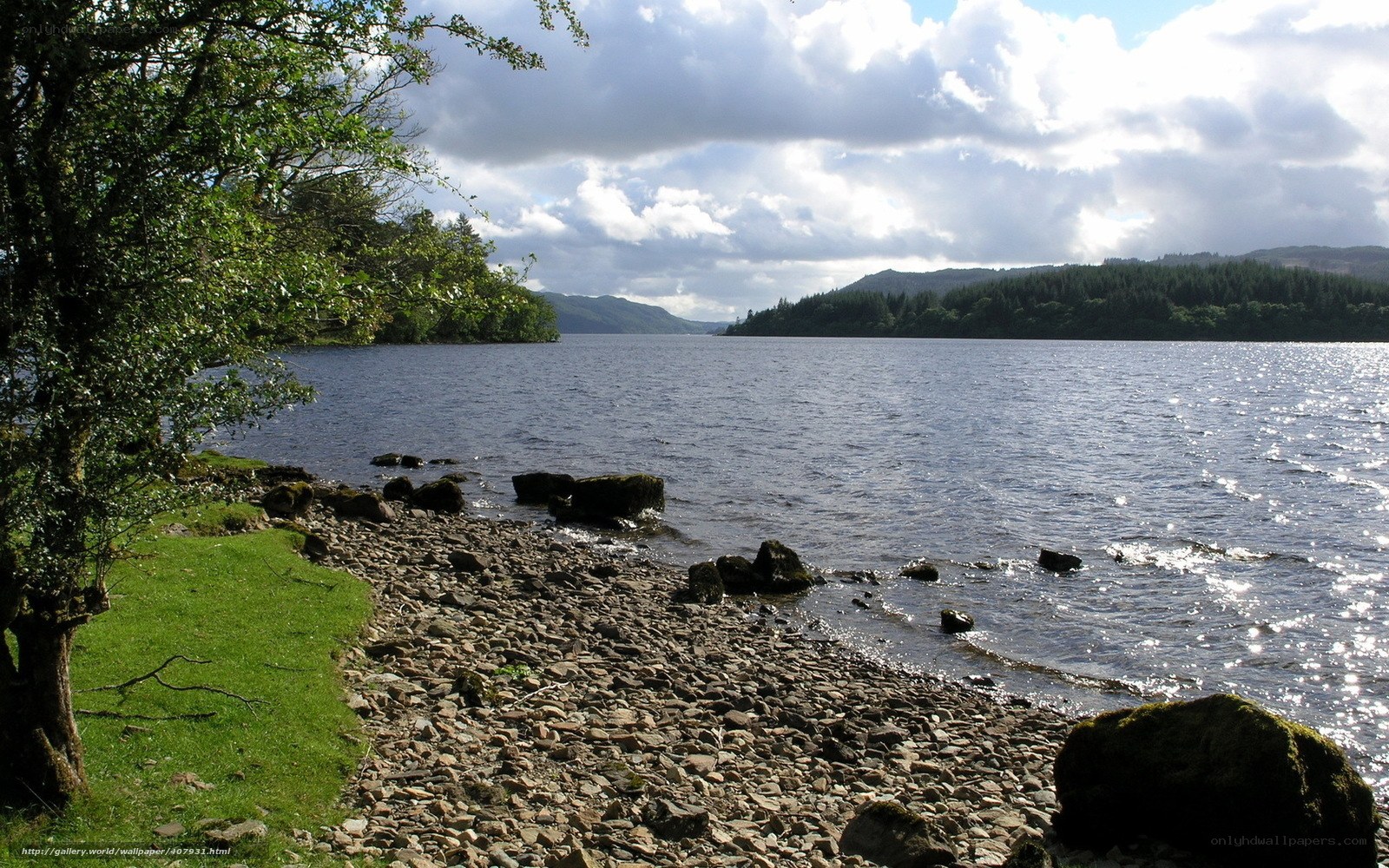 Lakeside view with forested hills