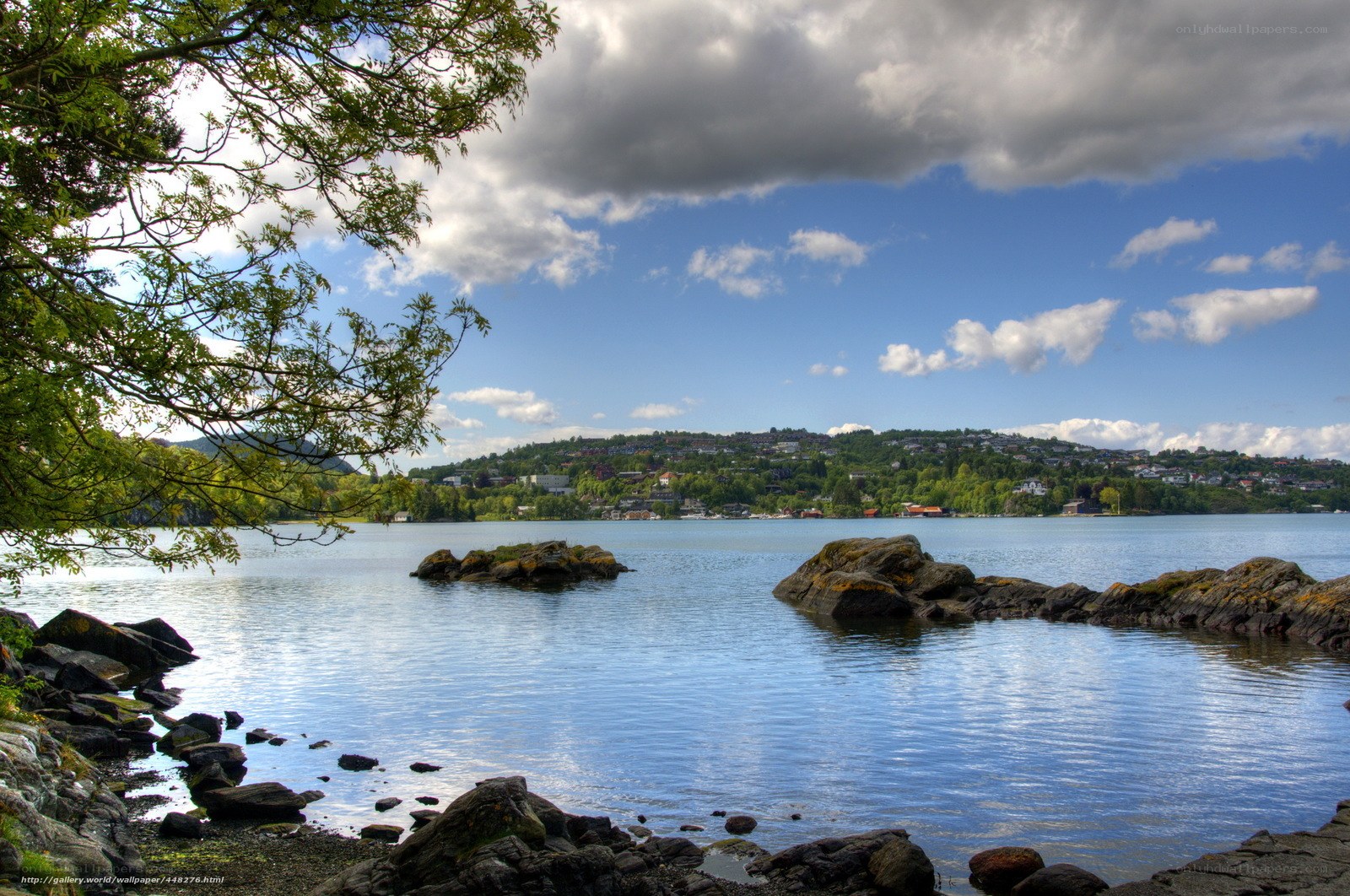 Lakeside view with rocky shore