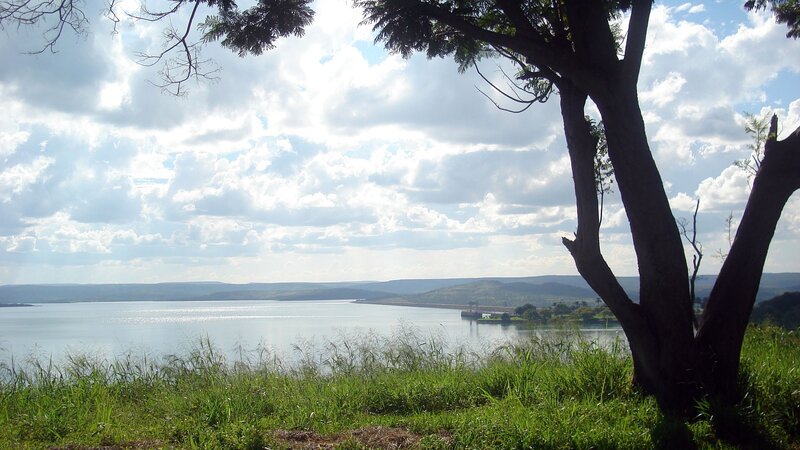 Lakeside view with tree