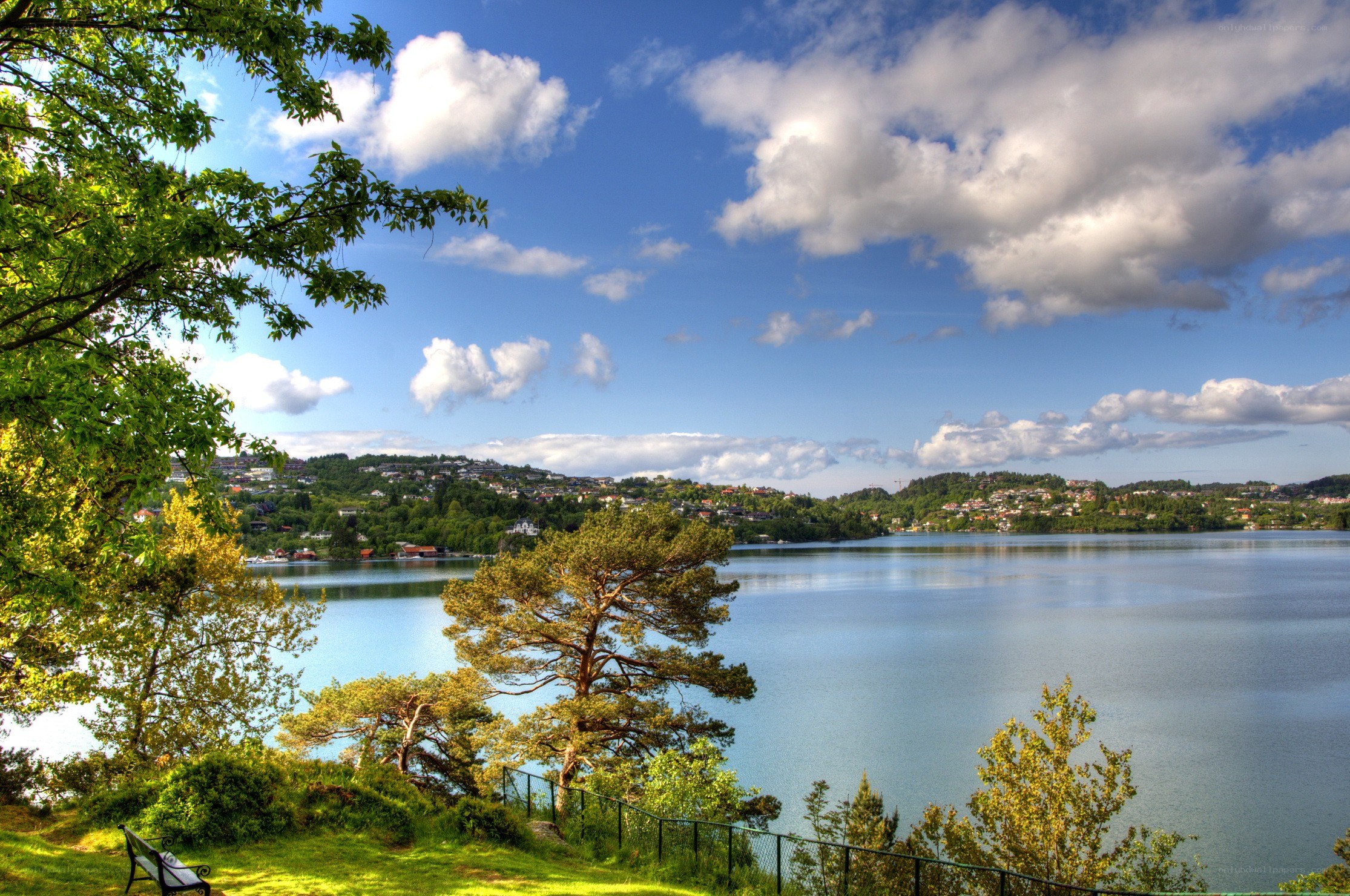 Lakeside view with trees and hills