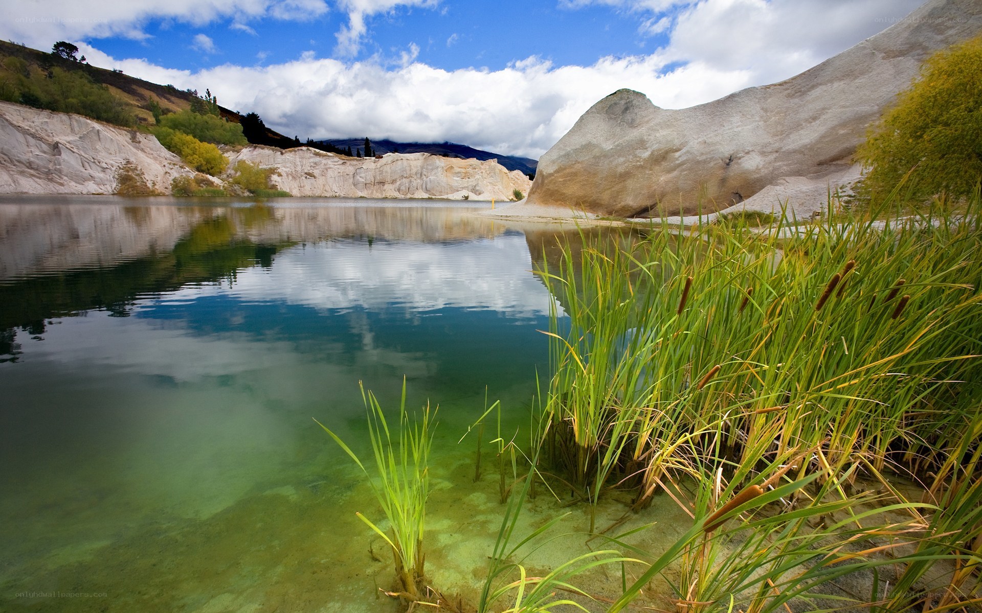 Lakeside with reeds and cliffs