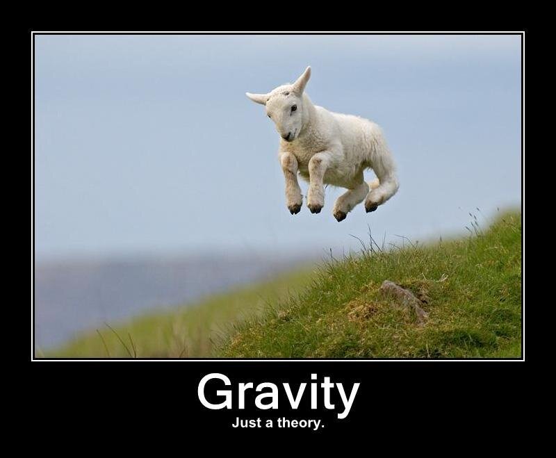 lamb defying gravity