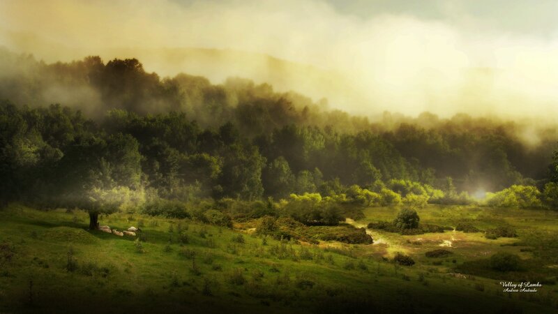 Lamb in a Valley
