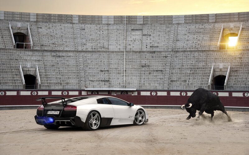 Lamborghini and bull in arena
