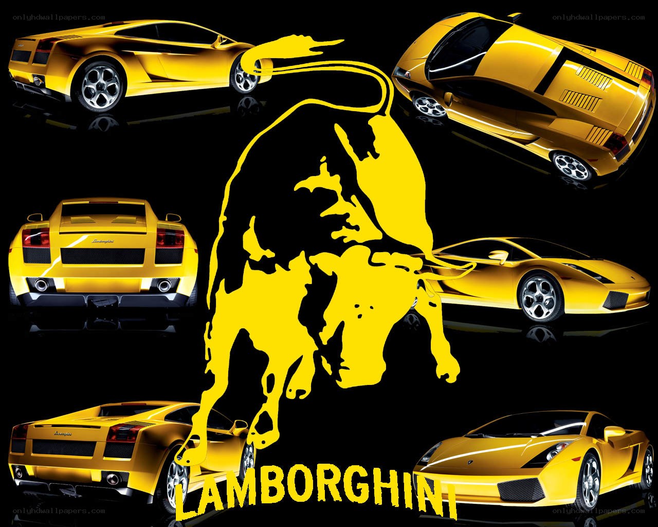 Lamborghini car collage