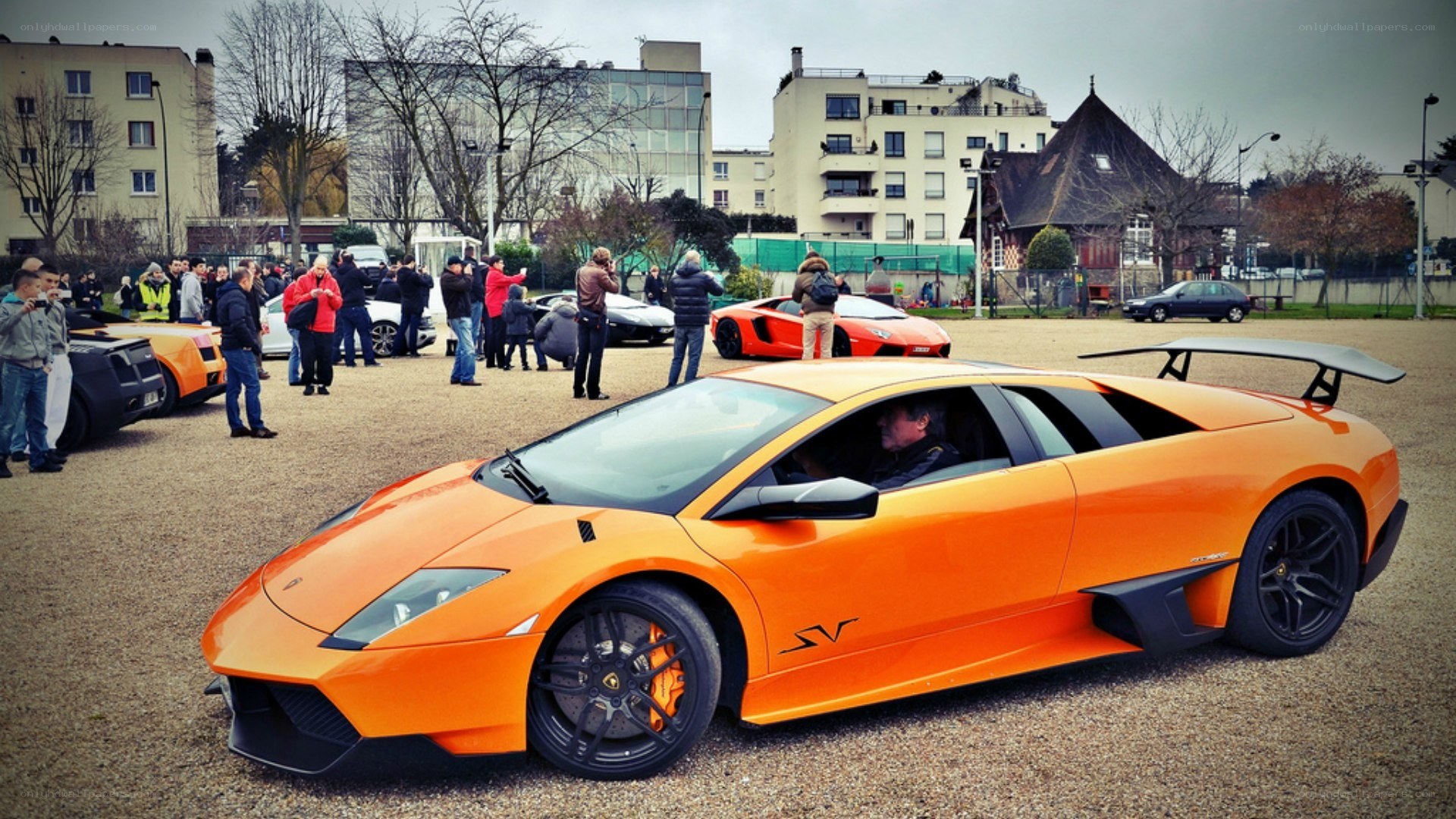 Lamborghini cars at a gathering