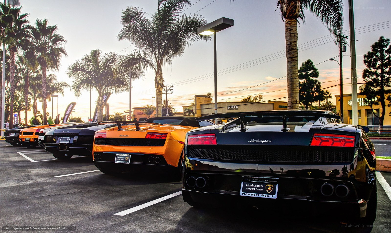 Lamborghini cars in parking lot