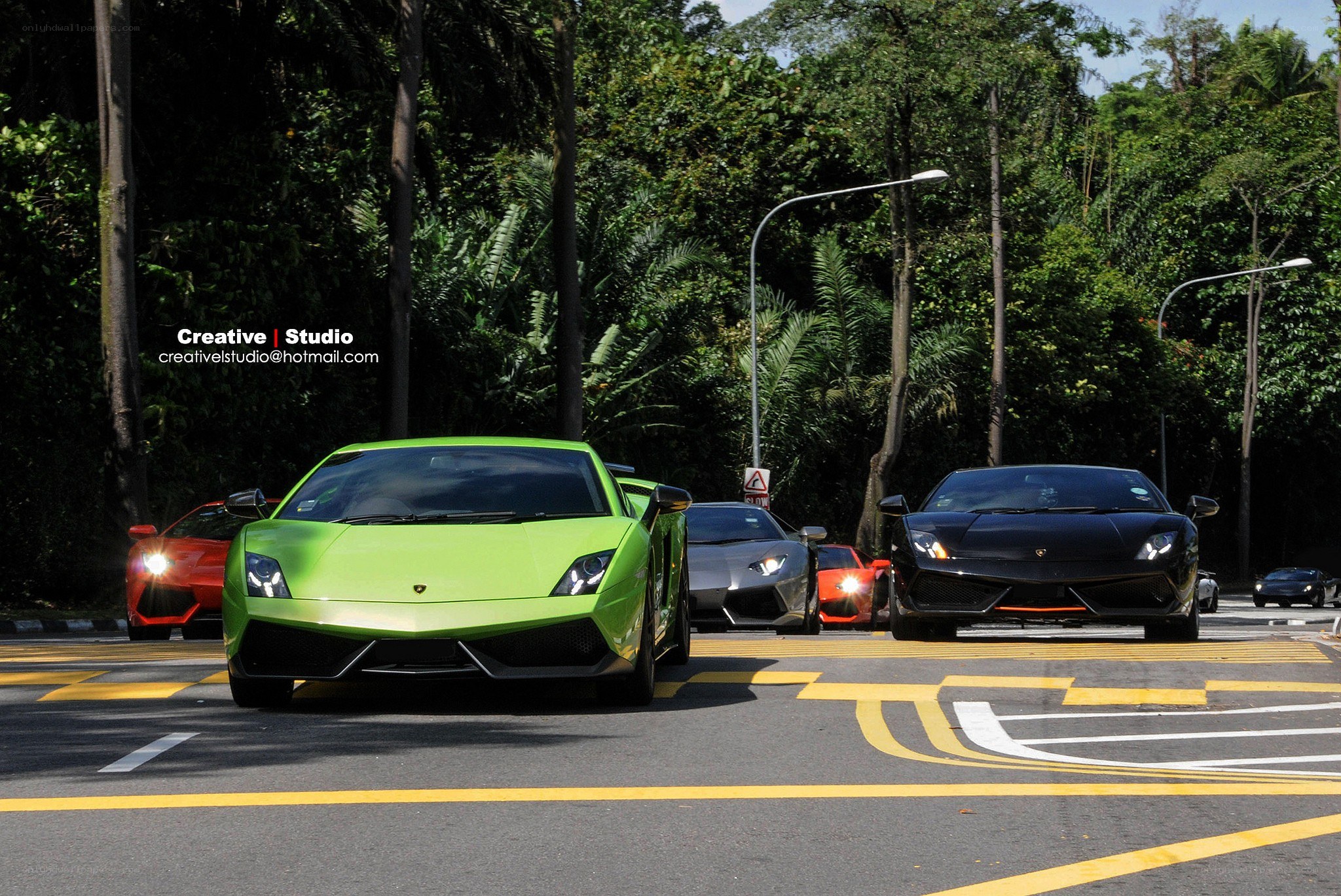 Lamborghini cars on a road