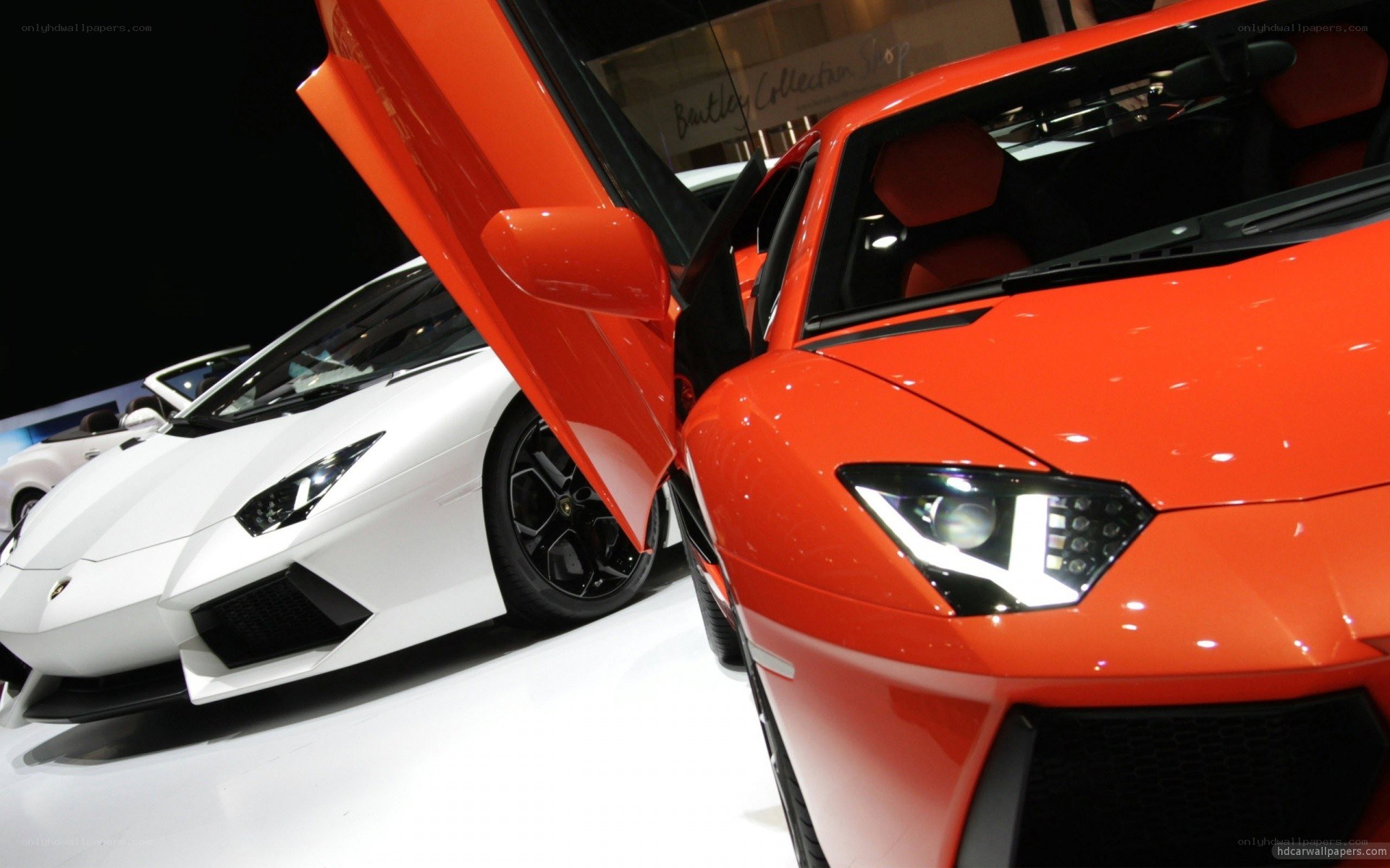 Lamborghini cars on display