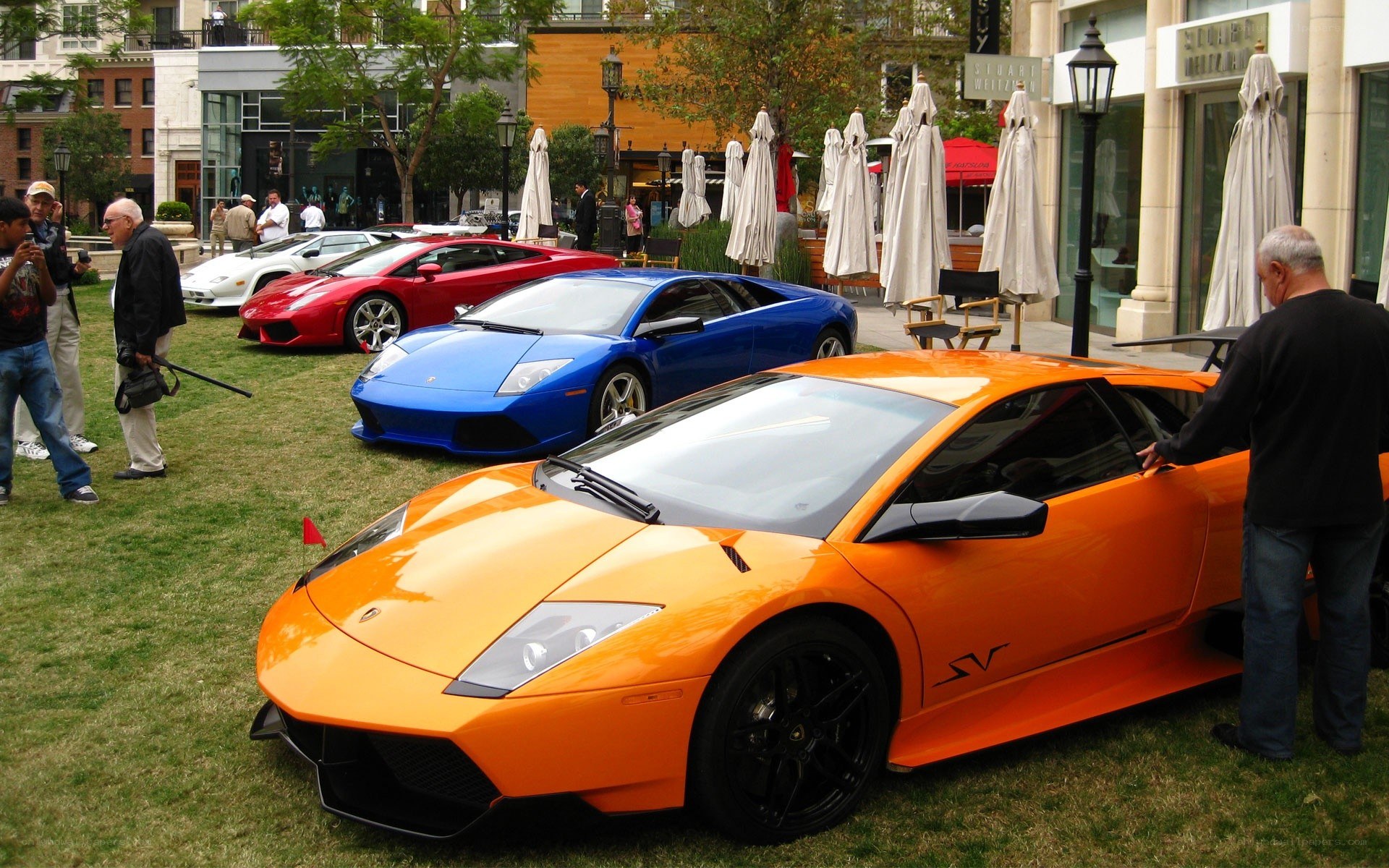 Lamborghini cars on display