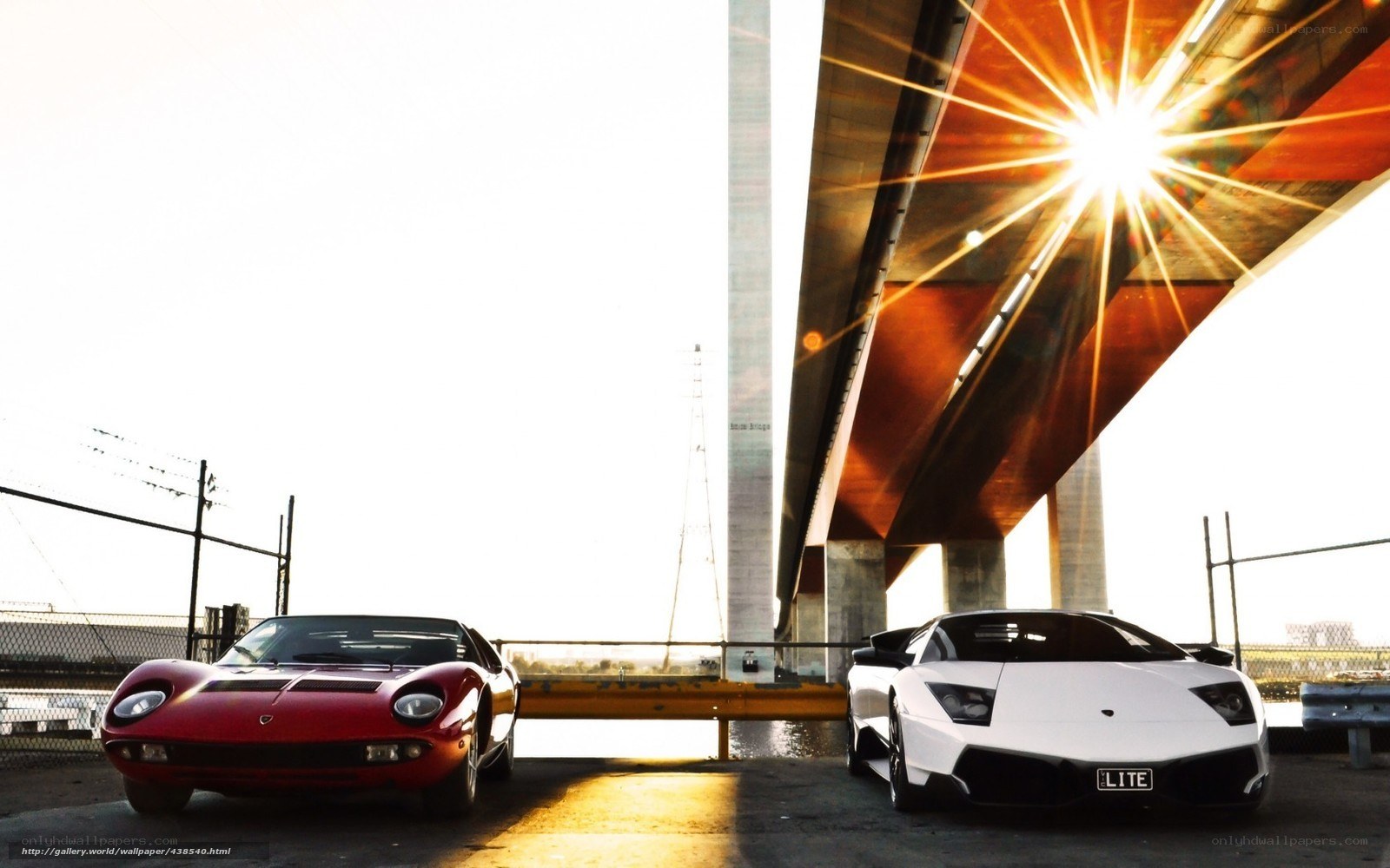 Lamborghini cars under bridge