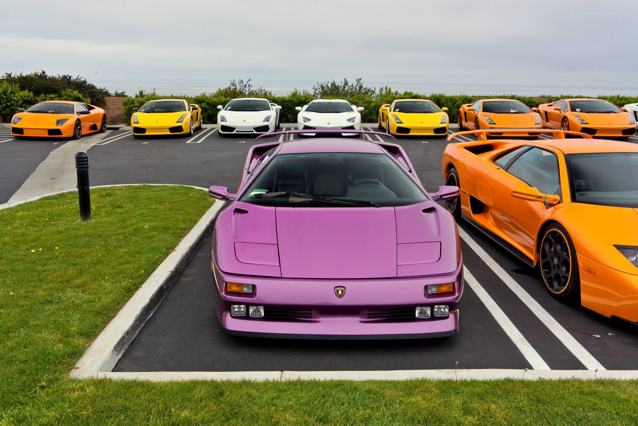 Lamborghini collection in parking lot
