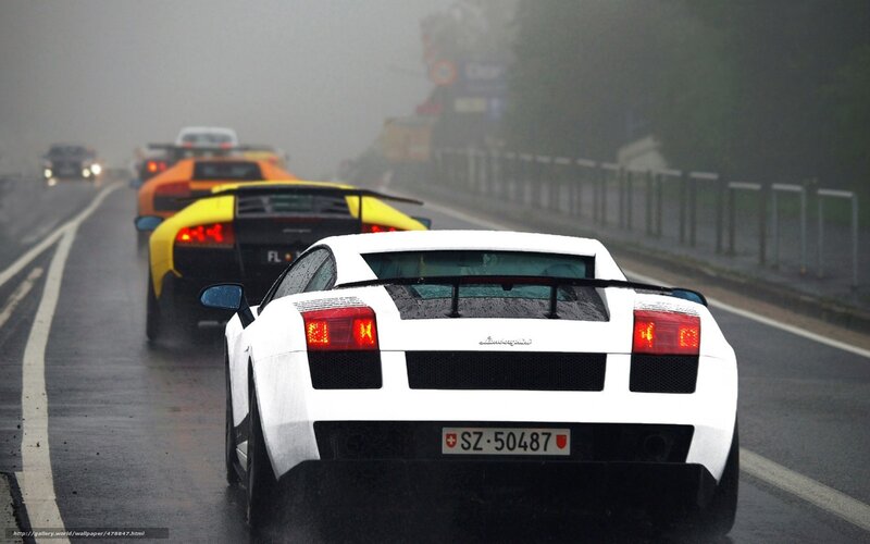 Lamborghini convoy on a foggy road