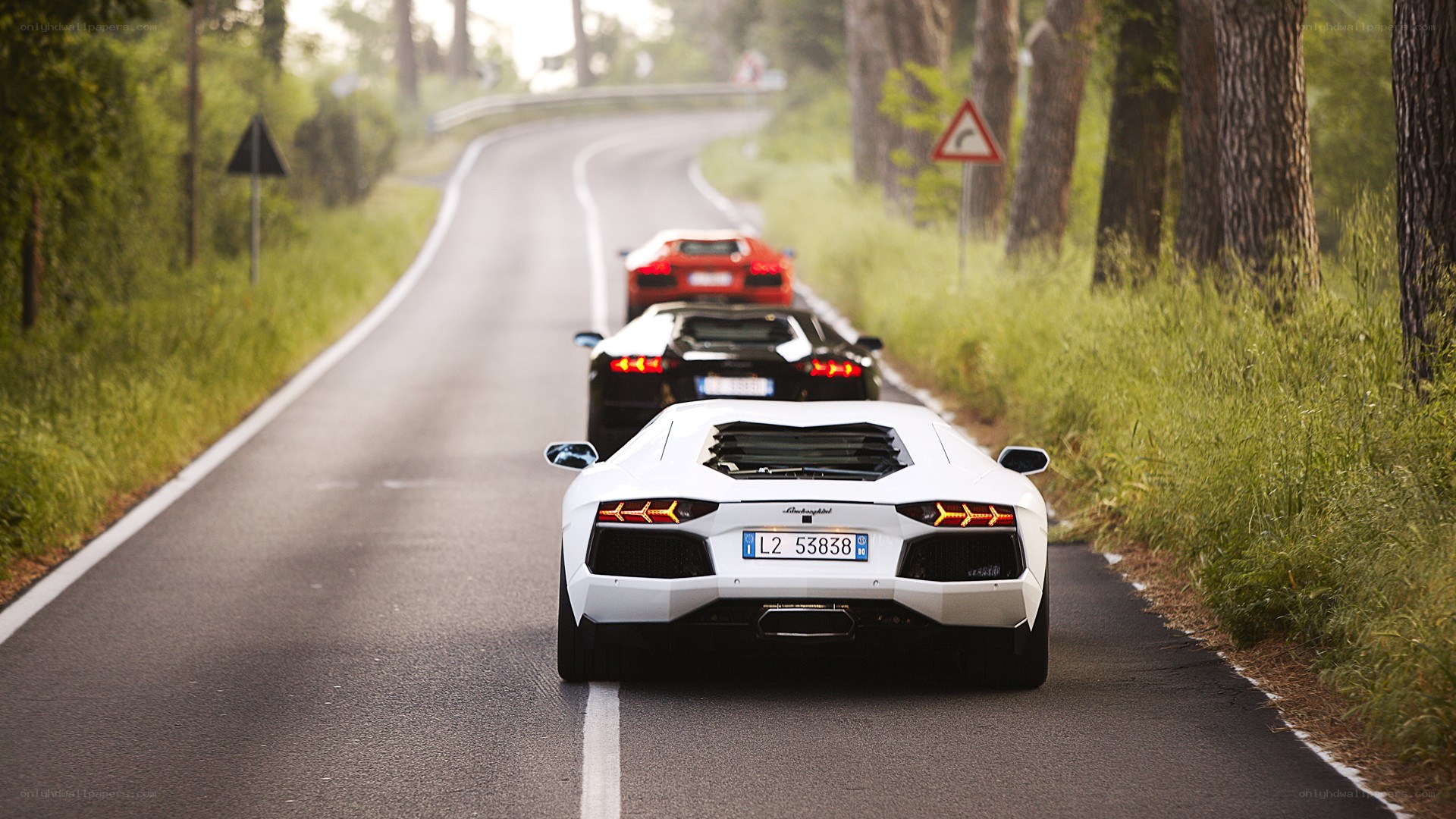 Lamborghini convoy on a winding road