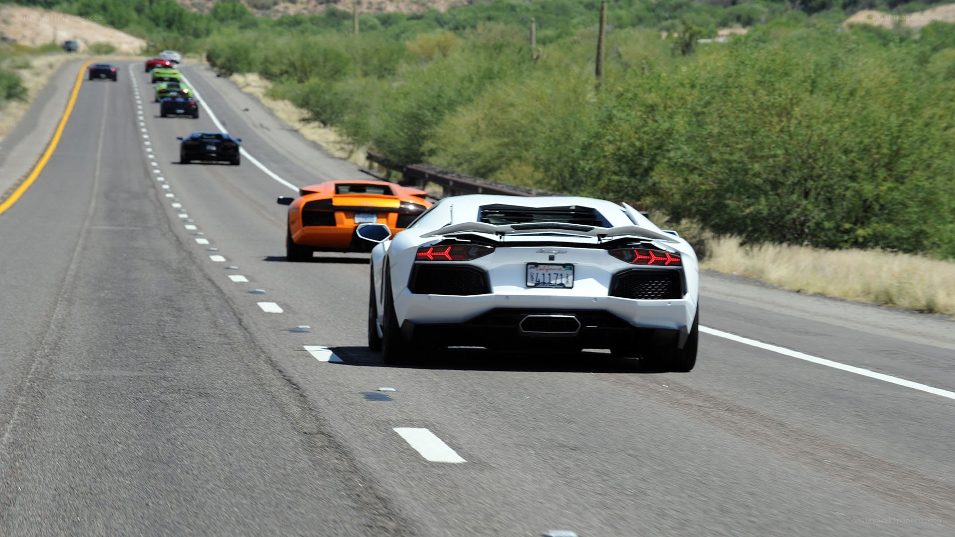 Lamborghini convoy on highway