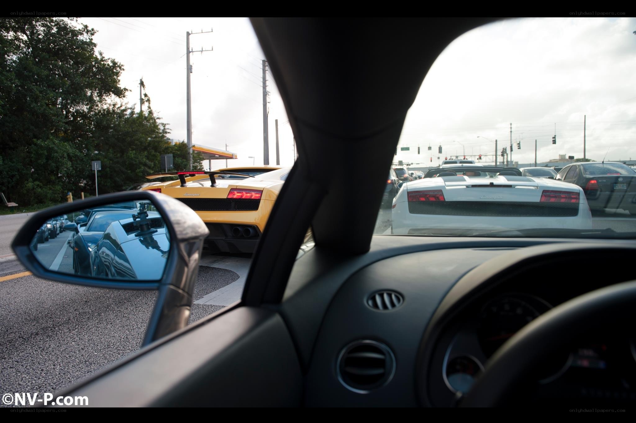 Lamborghini convoy on road