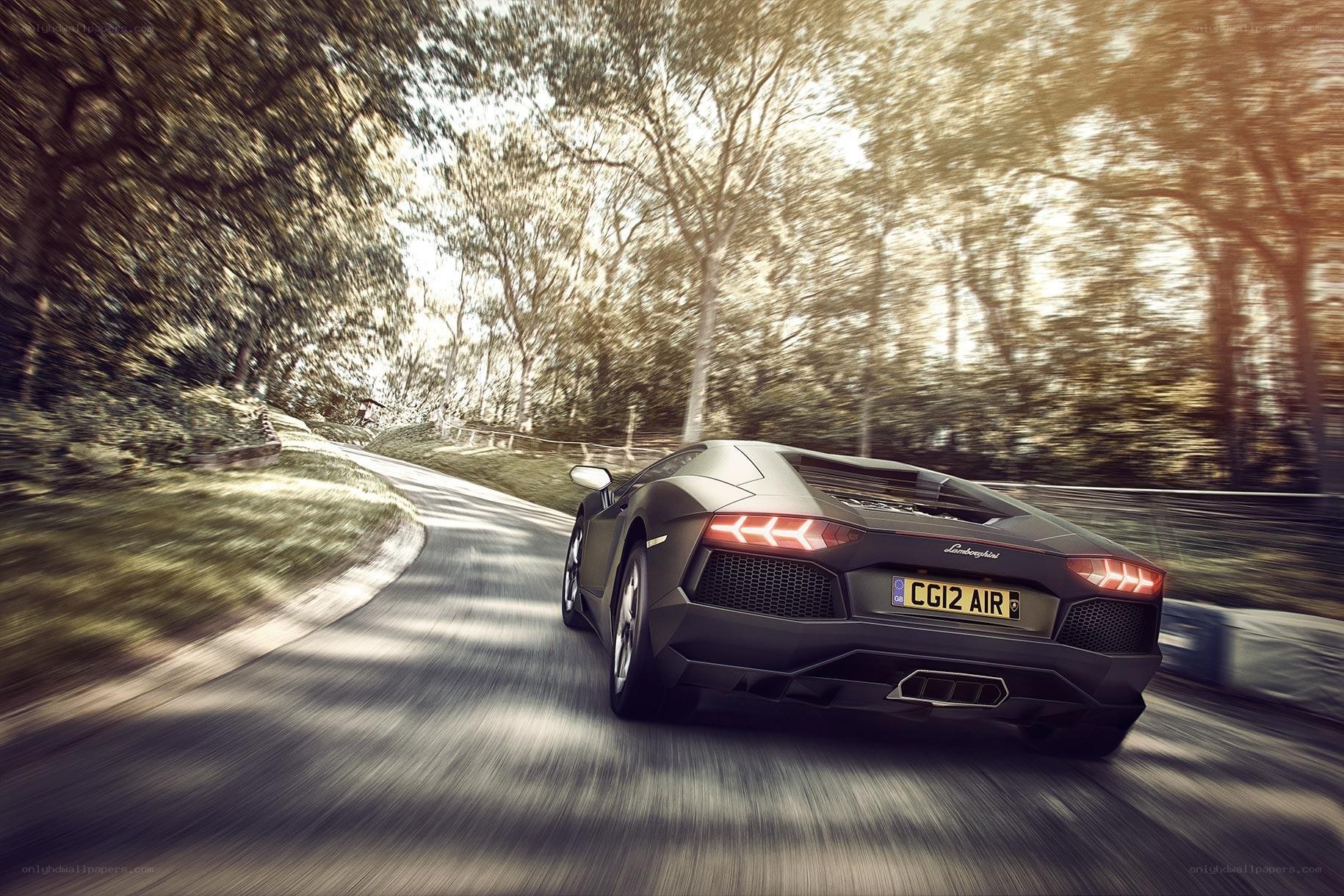 Lamborghini driving on a forest road