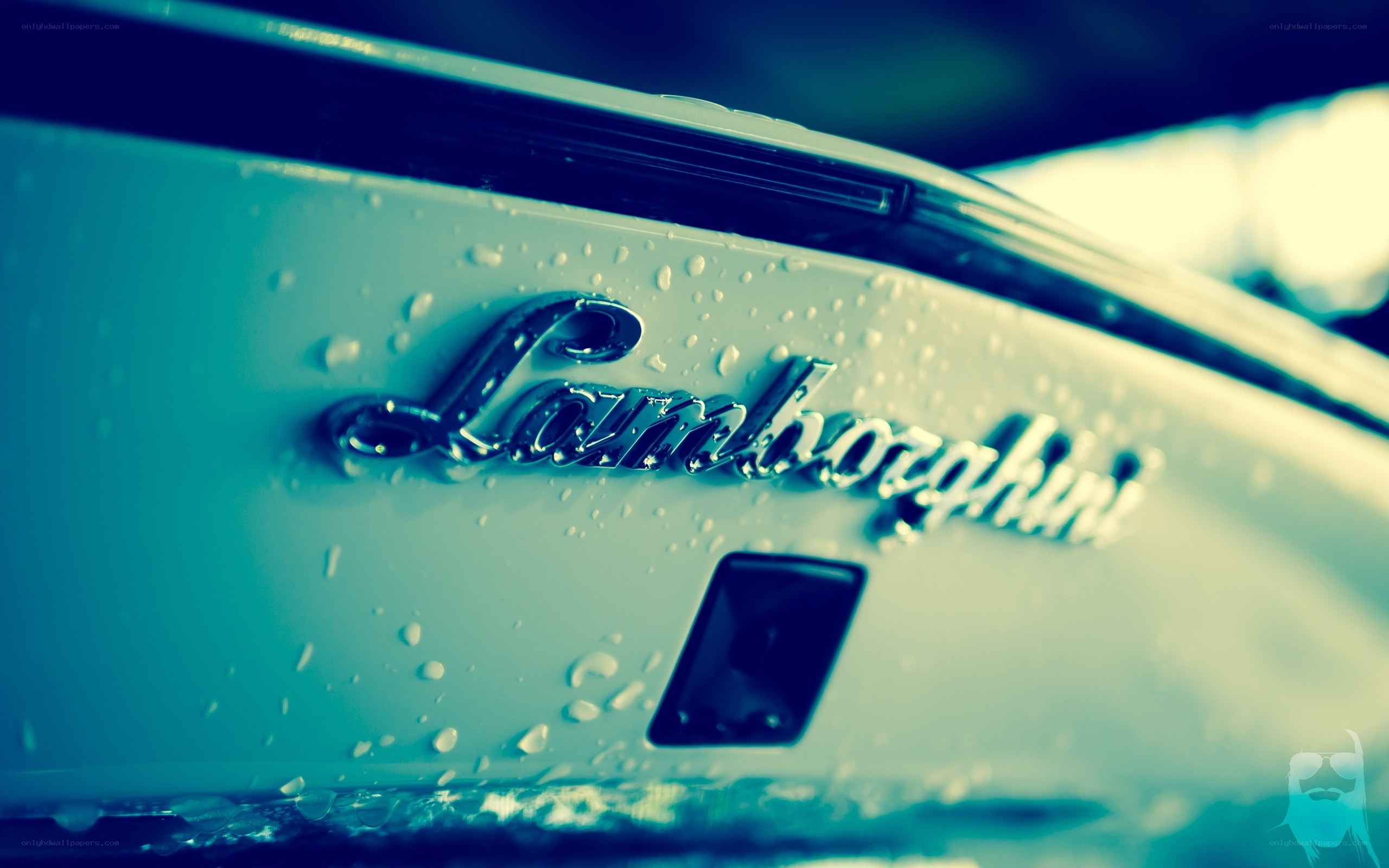Lamborghini emblem in rain