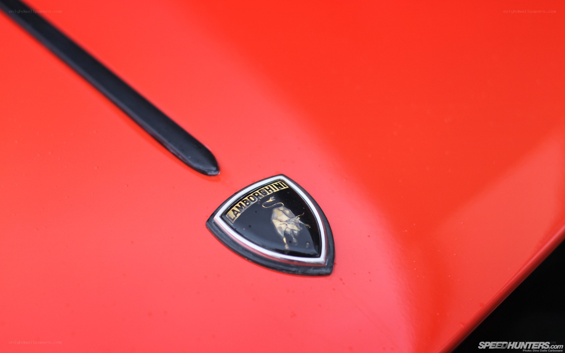 Lamborghini emblem on red car