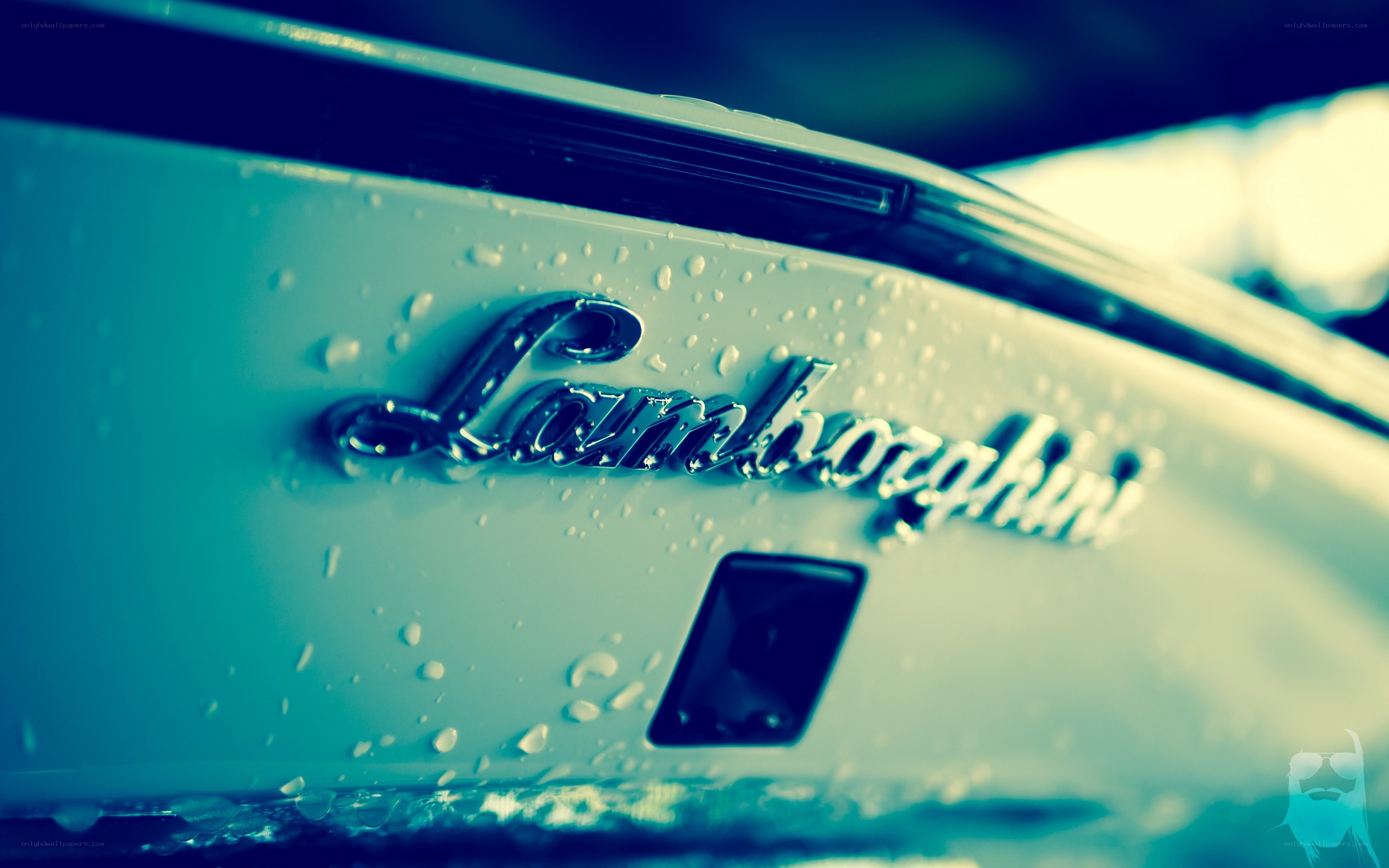 Lamborghini emblem on wet car