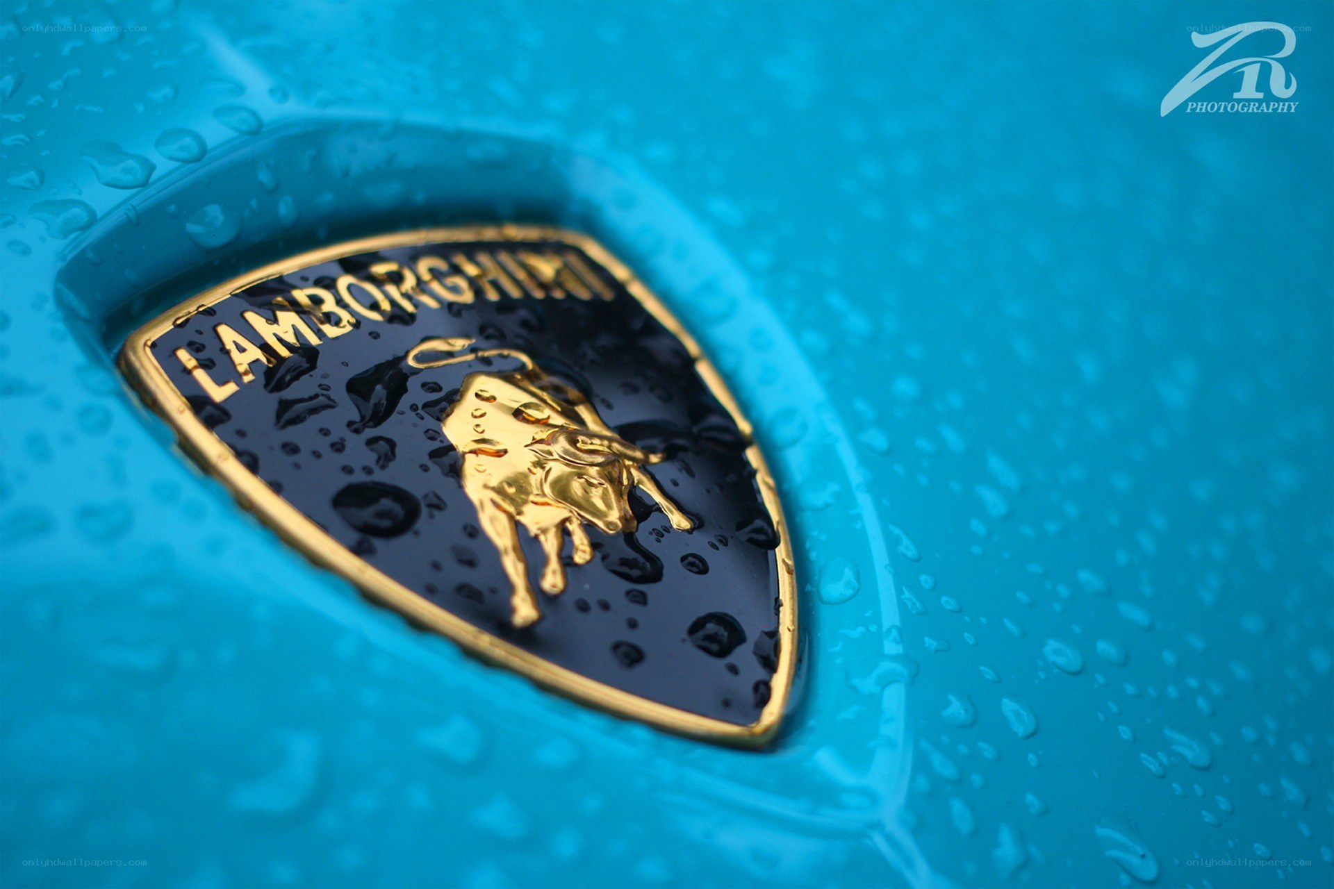 Lamborghini emblem on wet car