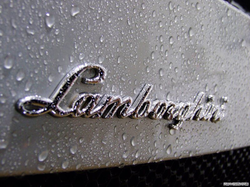 Lamborghini Emblem — Silver