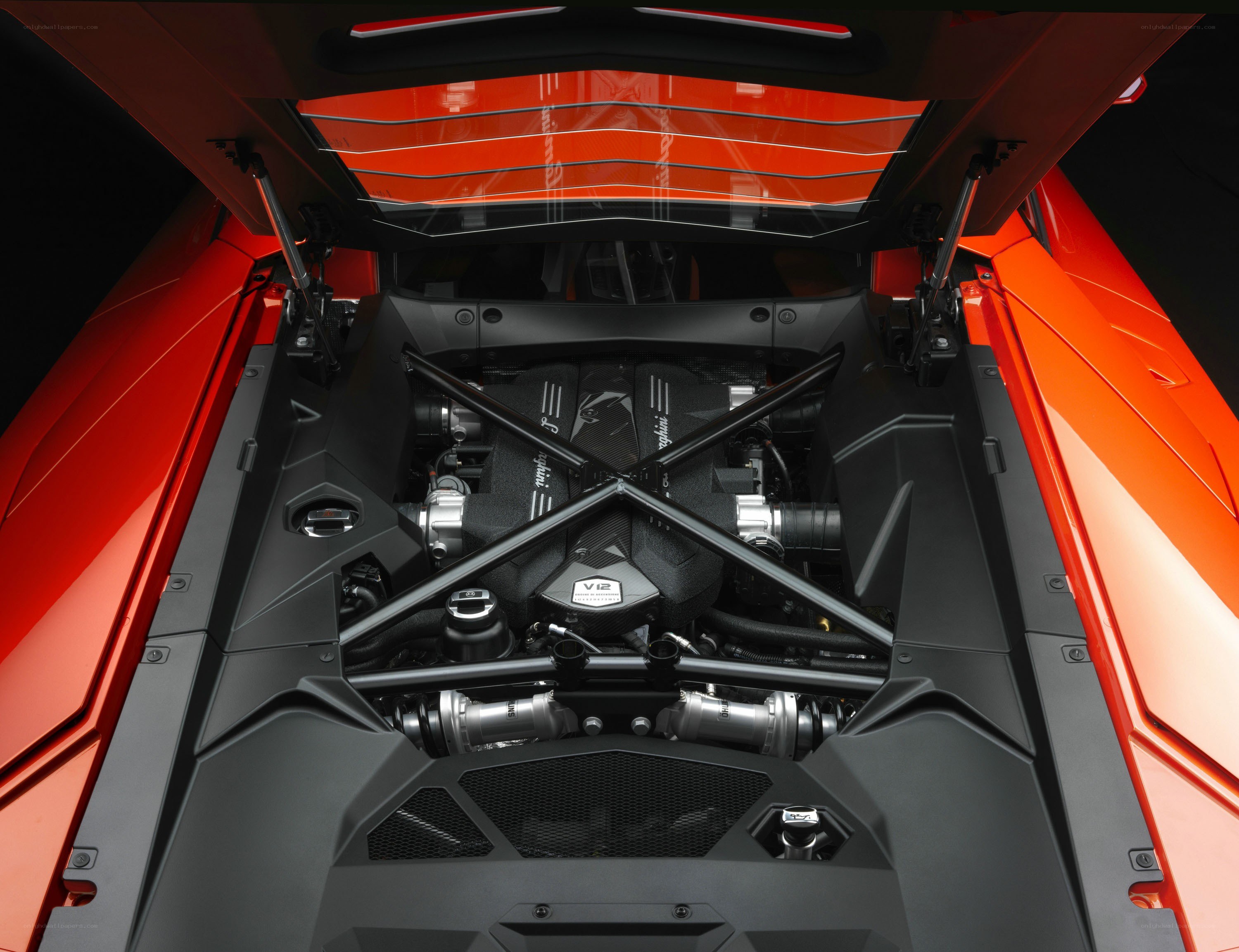 Lamborghini engine bay