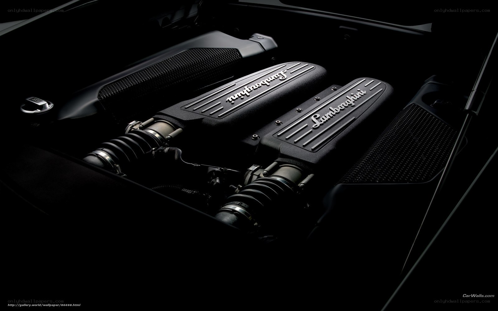 Lamborghini engine bay