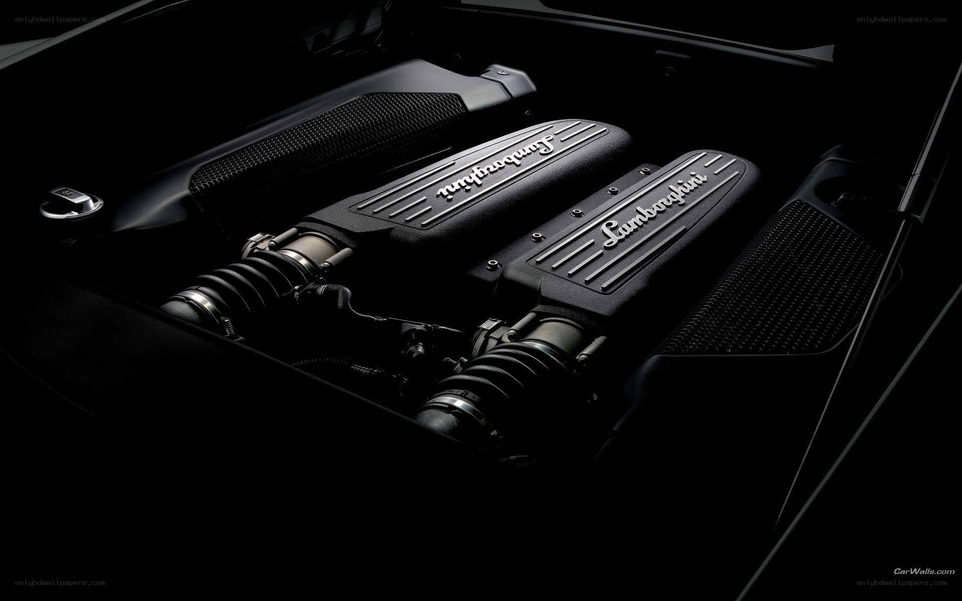 Lamborghini engine bay