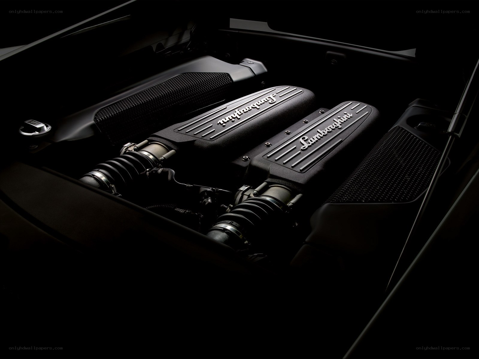 Lamborghini engine bay