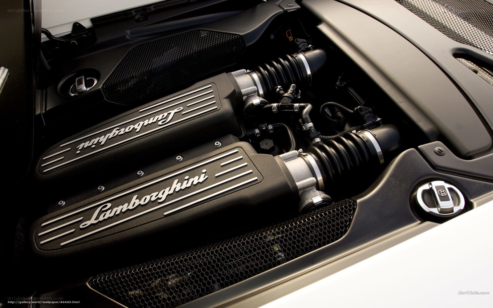 Lamborghini engine bay