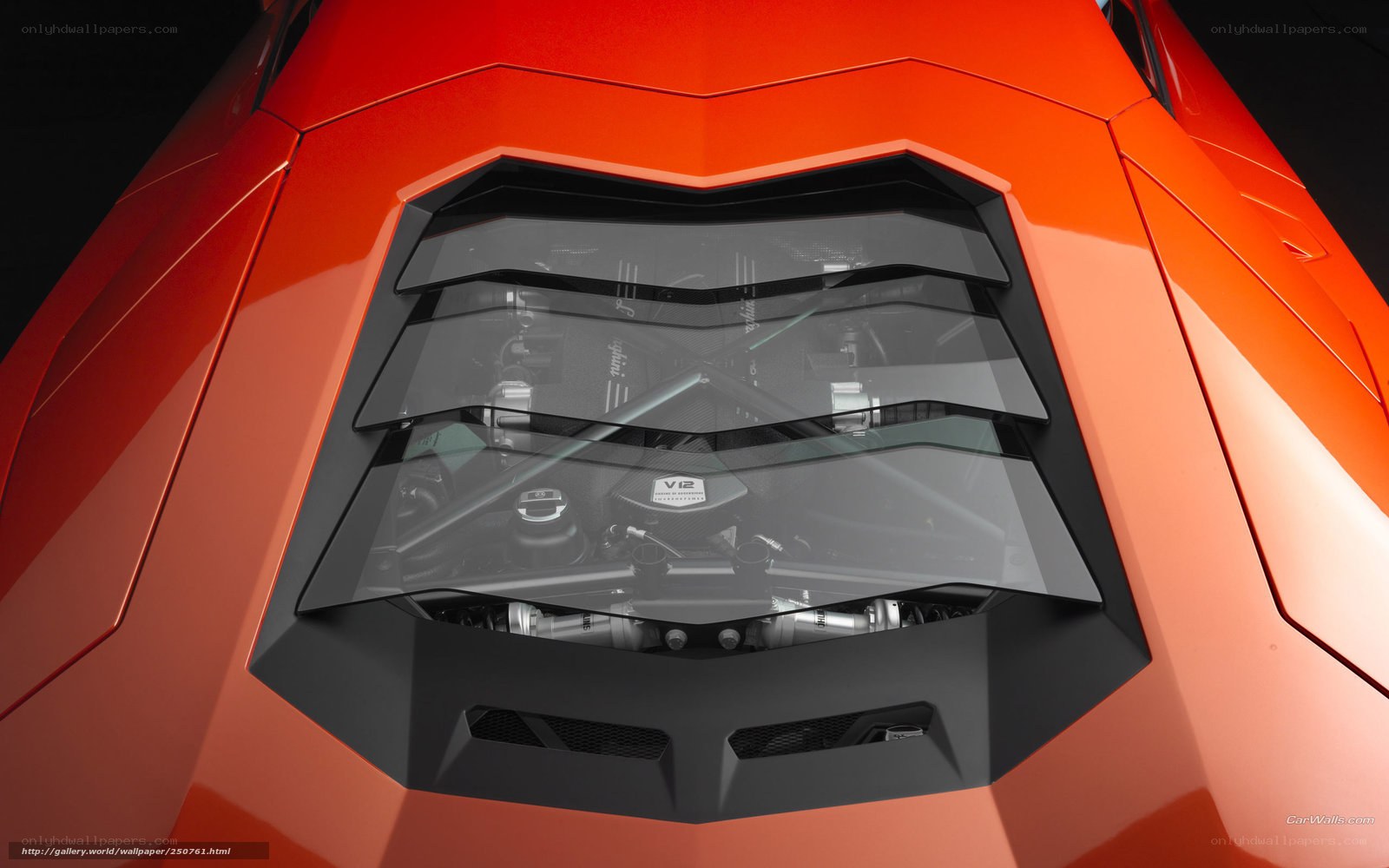 Lamborghini engine view