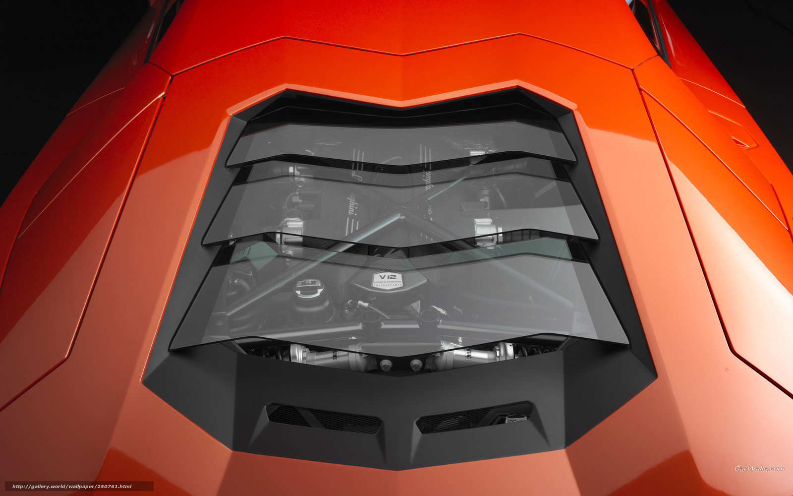 Lamborghini engine view