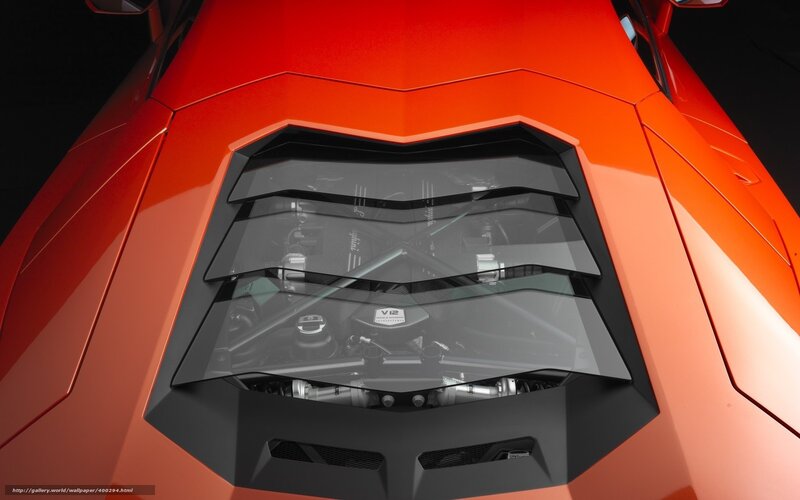 Lamborghini engine view