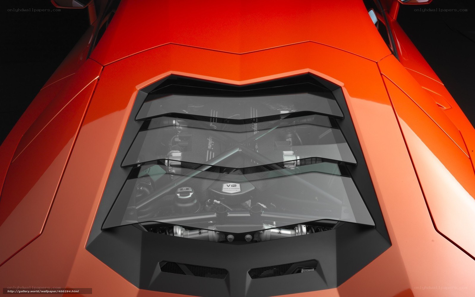 Lamborghini engine view