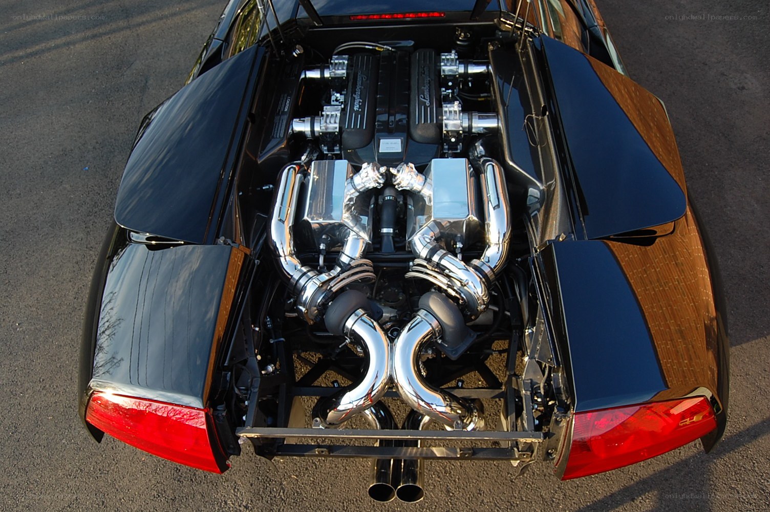 Lamborghini engine view