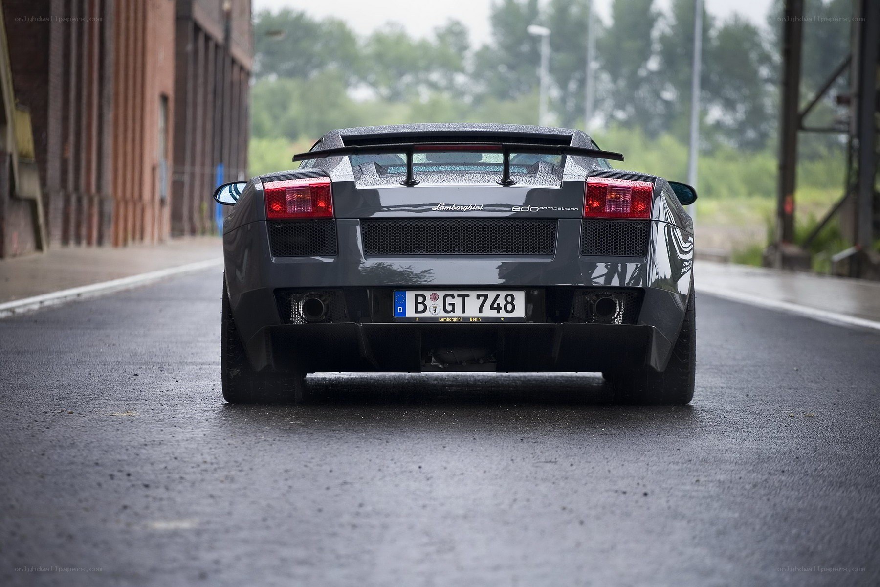 Lamborghini Gallardo rear view