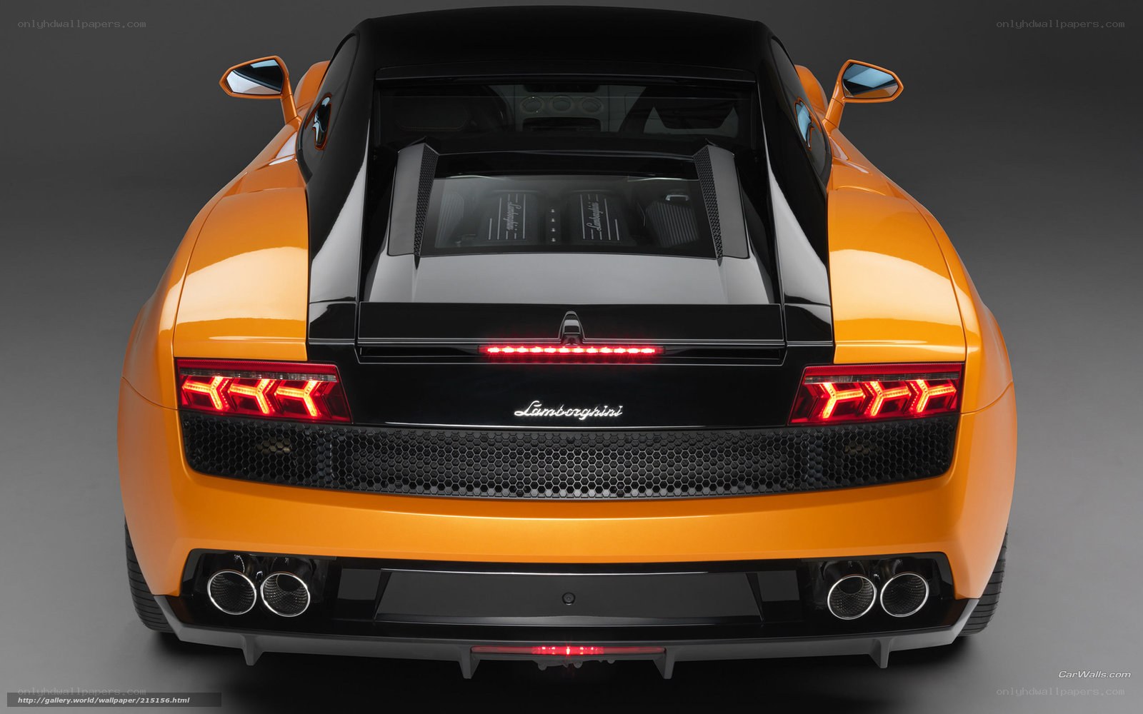 Lamborghini Gallardo rear view