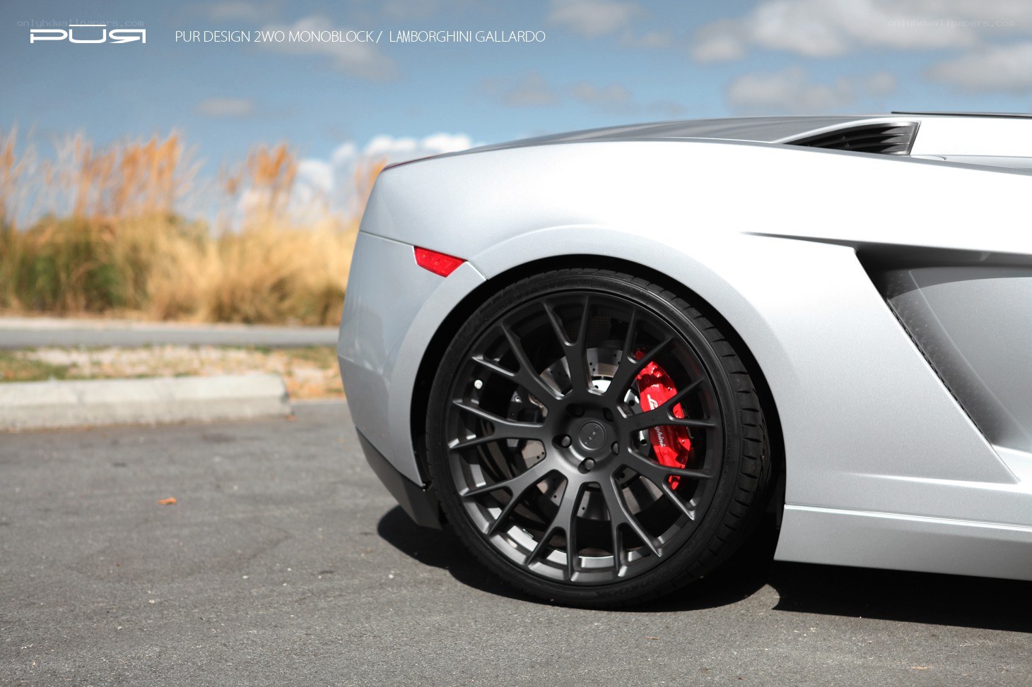 Lamborghini Gallardo with custom wheels