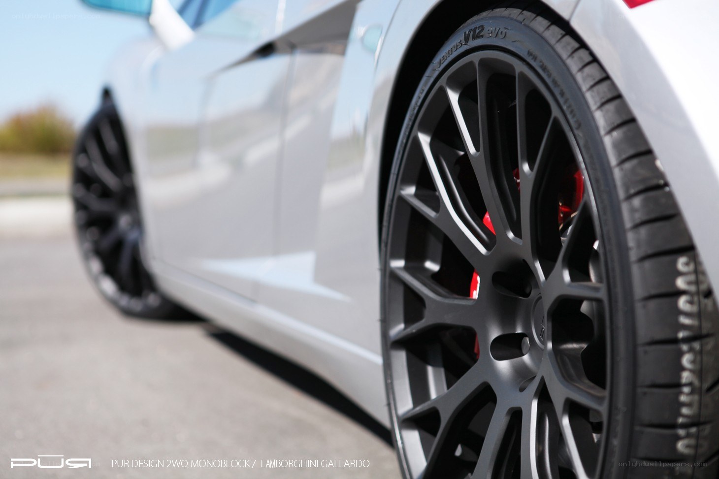 Lamborghini Gallardo with custom wheels