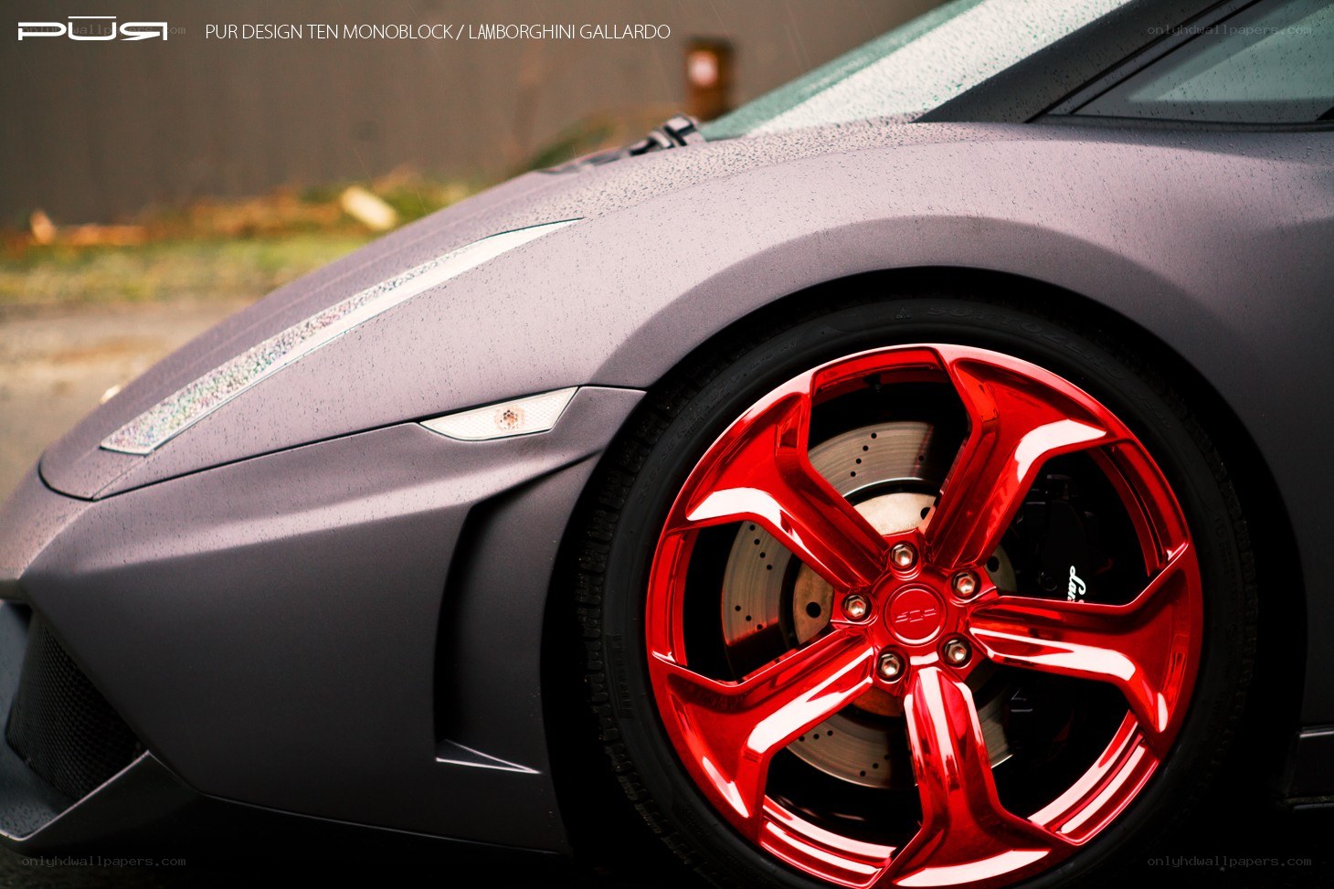Lamborghini Gallardo with red wheels