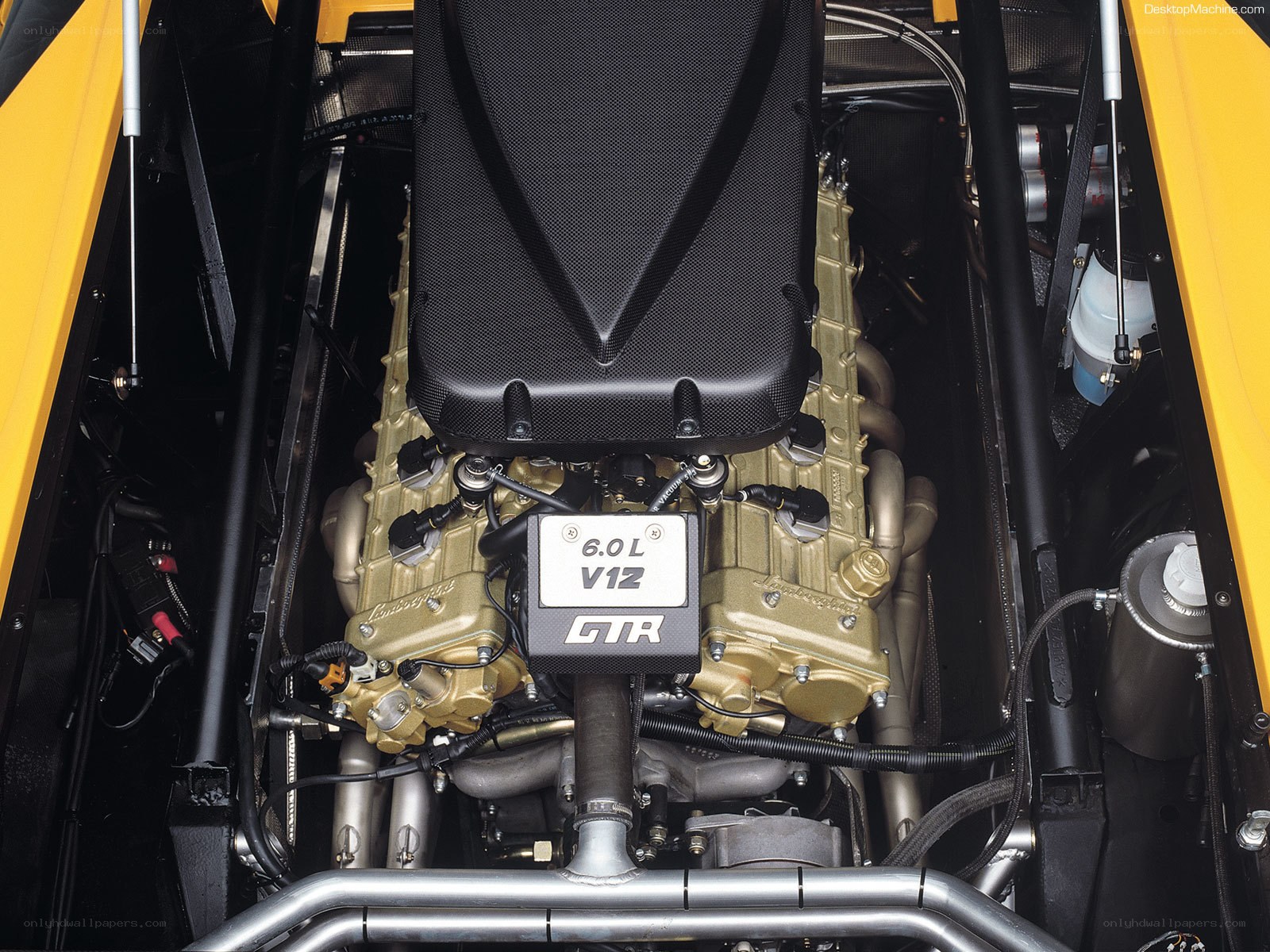 Lamborghini GTR engine